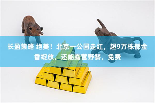 长盈策略 绝美！北京一公园走红，超9万株郁金香绽放，还能露营野餐，免费