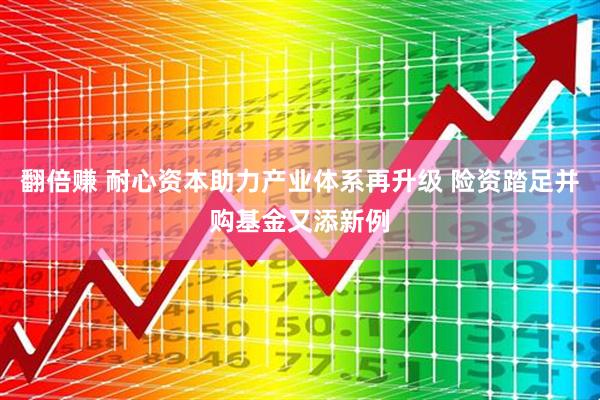 翻倍赚 耐心资本助力产业体系再升级 险资踏足并购基金又添新例
