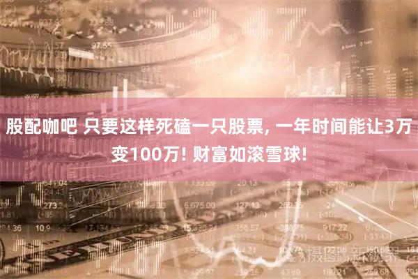 股配咖吧 只要这样死磕一只股票, 一年时间能让3万变100万! 财富如滚雪球!