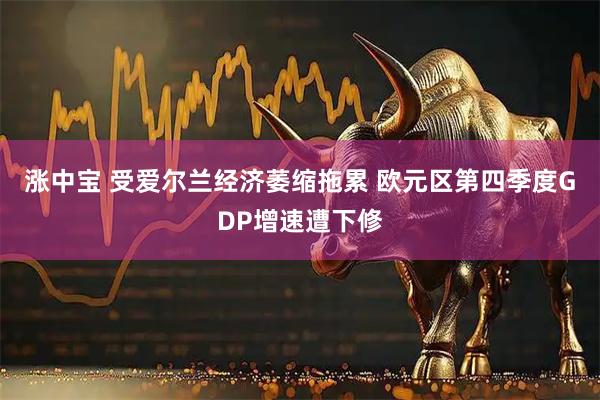涨中宝 受爱尔兰经济萎缩拖累 欧元区第四季度GDP增速遭下修