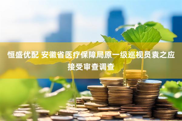 恒盛优配 安徽省医疗保障局原一级巡视员袁之应接受审查调查