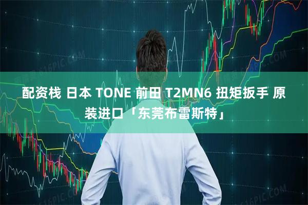 配资栈 日本 TONE 前田 T2MN6 扭矩扳手 原装进口「东莞布雷斯特」