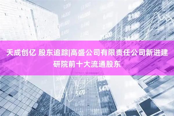 天成创亿 股东追踪|高盛公司有限责任公司新进建研院前十大流通股东