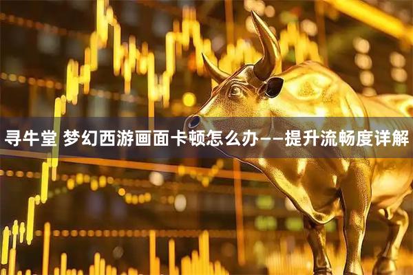 寻牛堂 梦幻西游画面卡顿怎么办——提升流畅度详解