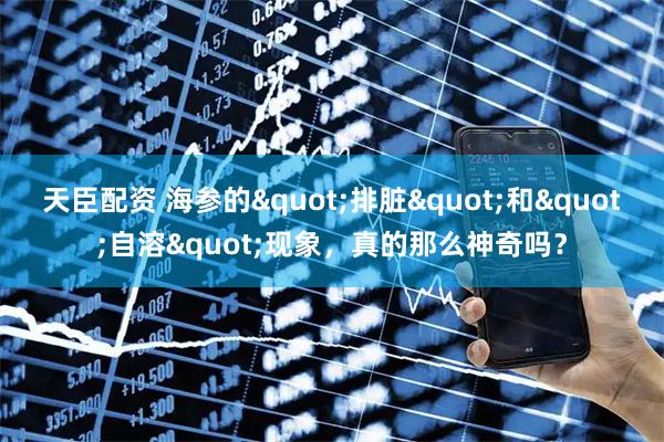 天臣配资 海参的"排脏"和"自溶"现象，真的那么神奇吗？