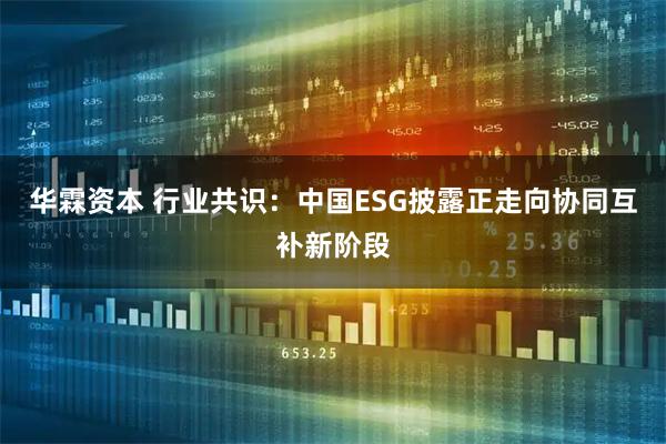 华霖资本 行业共识：中国ESG披露正走向协同互补新阶段