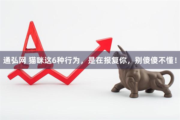 通弘网 猫咪这6种行为，是在报复你，别傻傻不懂！