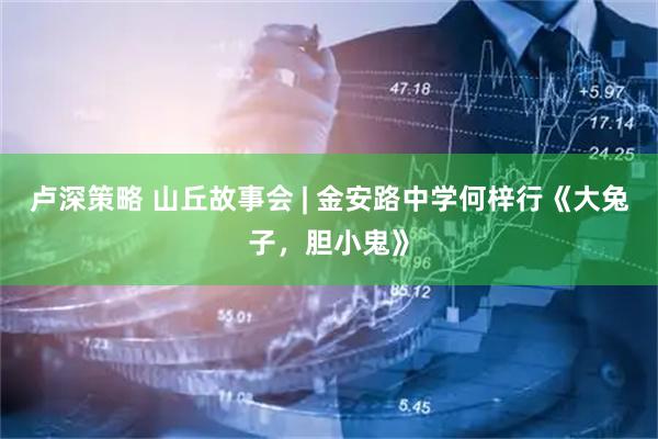卢深策略 山丘故事会 | 金安路中学何梓行《大兔子，胆小鬼》