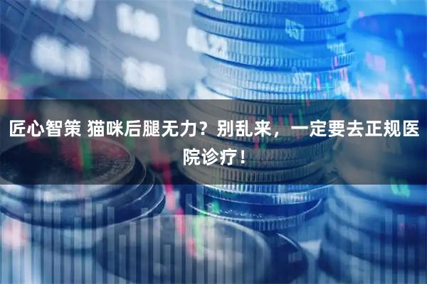 匠心智策 猫咪后腿无力?别乱来,一定要去正规医院诊疗!