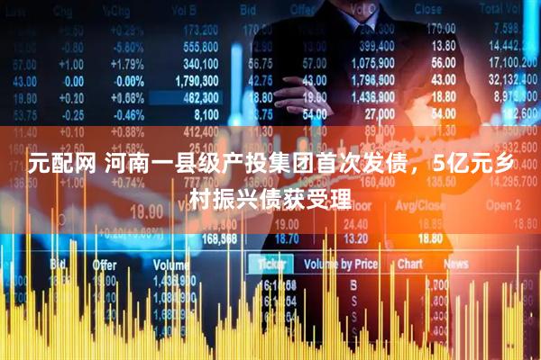 元配网 河南一县级产投集团首次发债，5亿元乡村振兴债获受理
