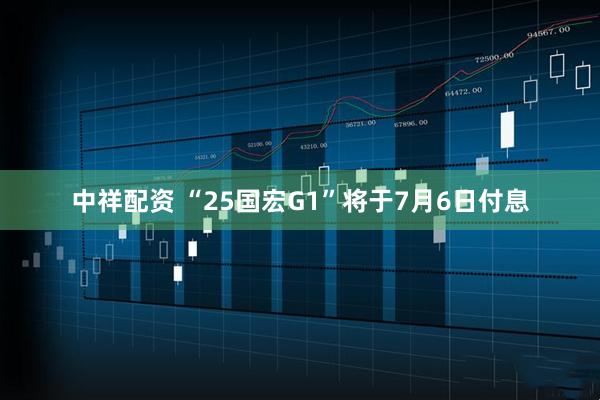 中祥配资 “25国宏G1”将于7月6日付息